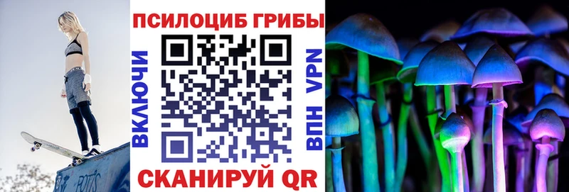 Галлюциногенные грибы Cubensis  Купить закладки  Артёмовский 